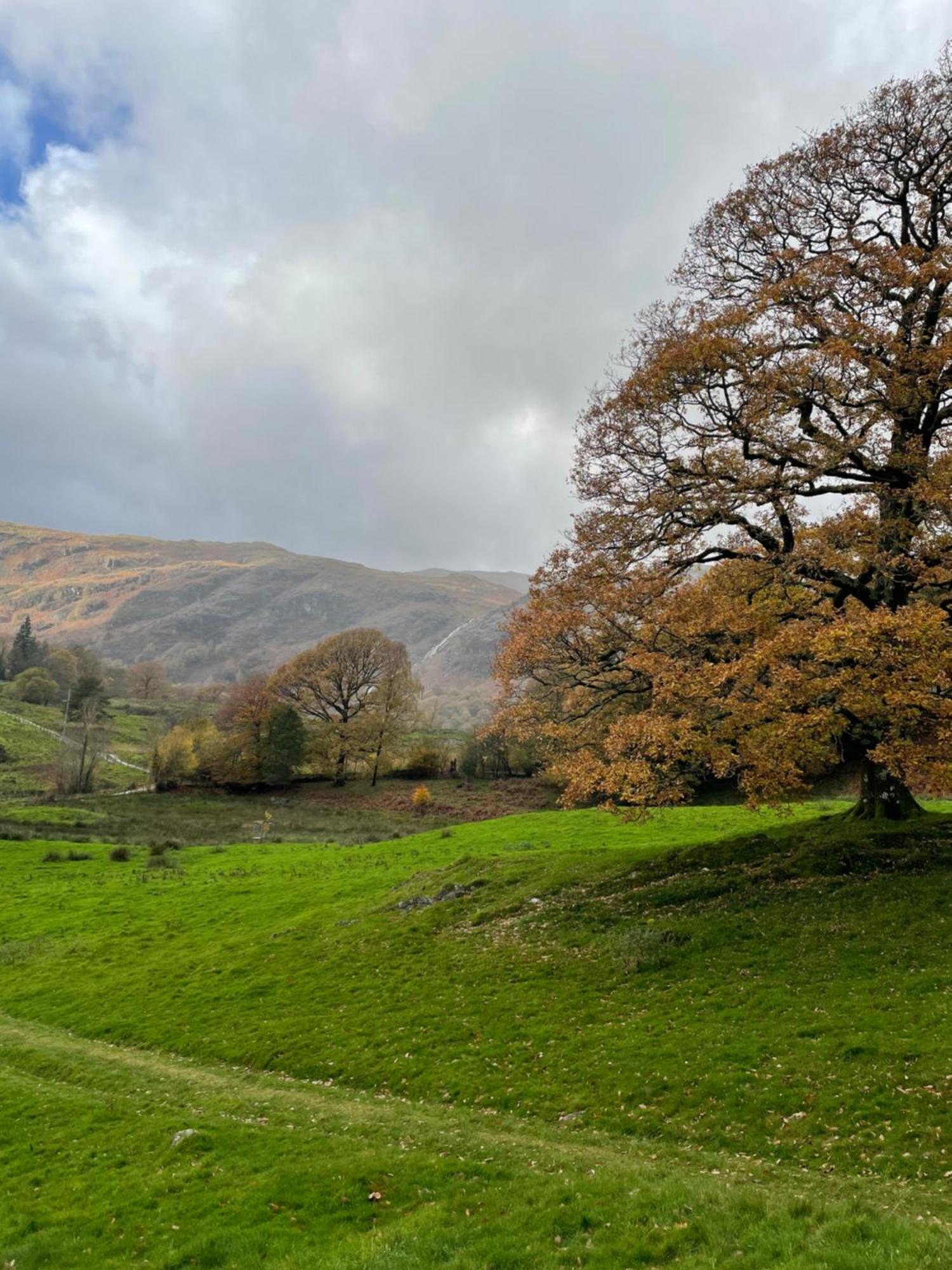 Grizedale View Apartment